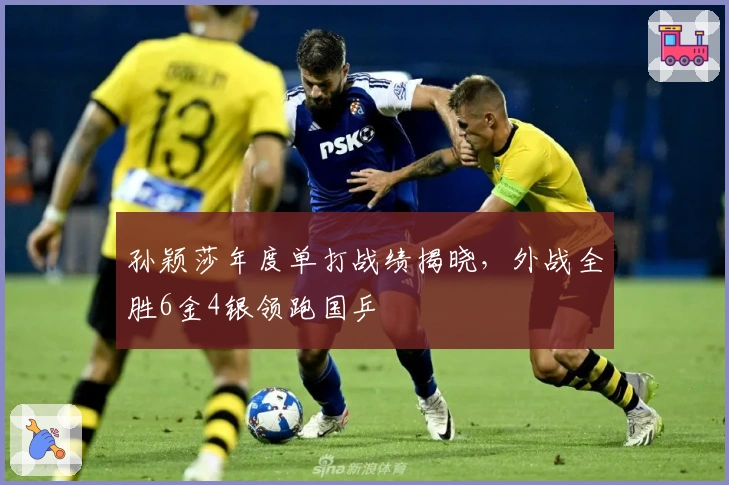 孙颖莎年度单打战绩揭晓，外战全胜6金4银领跑国乒