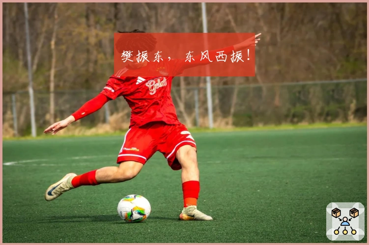 樊振东,东风西振!